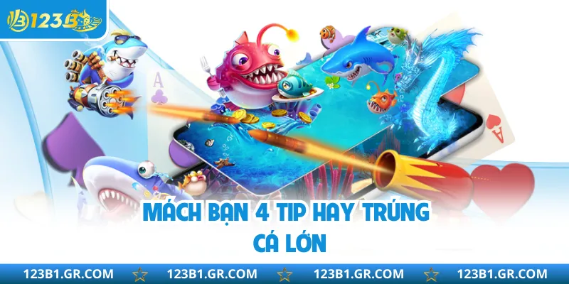 Mách bạn 4 tip hay trúng cá lớn