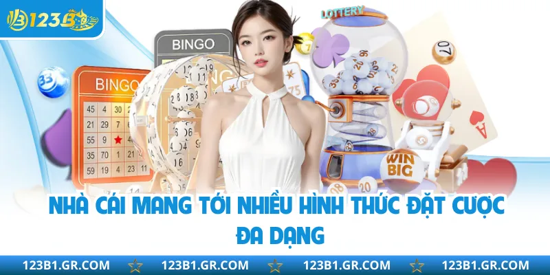 Nhà cái mang tới nhiều hình thức đặt cược đa dạng